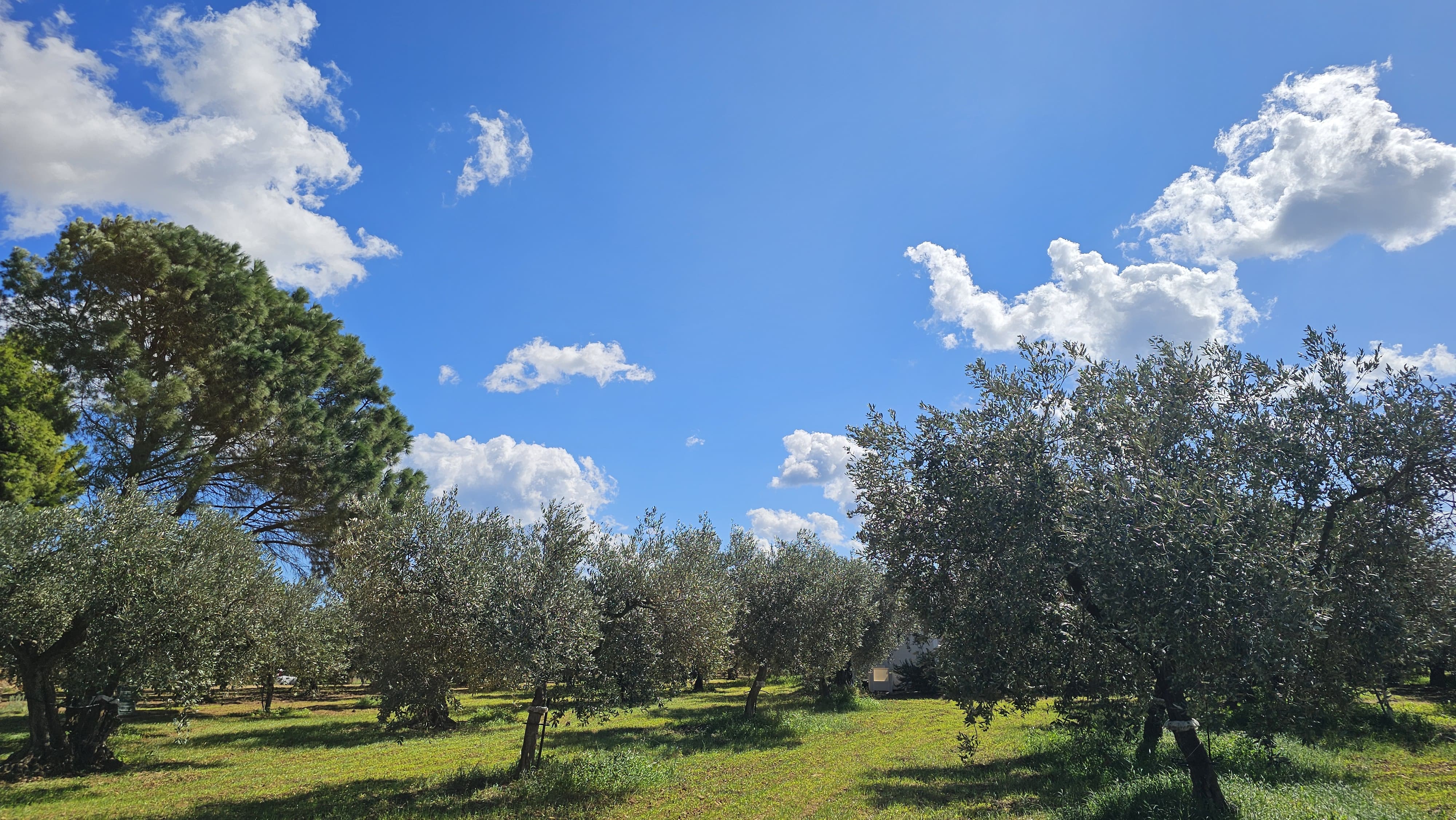 Le Tre Terre di Salvatore Risalvato